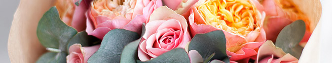 Свежие розы в Севастополе от Гранд Флора с доставкой